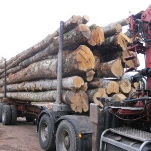 HÊTRE, CHÊNE, CHARME EN GRUME, CAMION DE 50 STÈRES